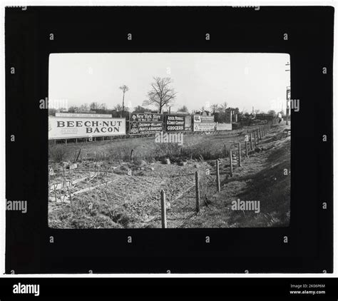 Willliamsbridge looking towards Gun Hill Road, Bronx, New York, c1907 ...