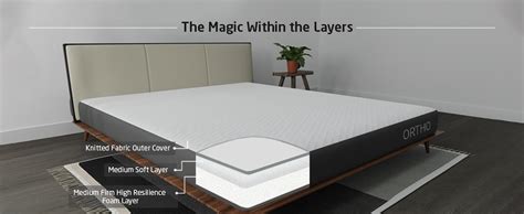 Livpure Smart Ortho DUOS-X Reversible Dual-Flip HR Foam Mattress ...