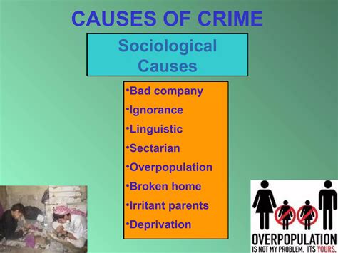 Causes of crimes | PPT
