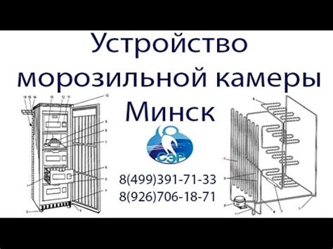 Устройство морозильной камеры - YouTube