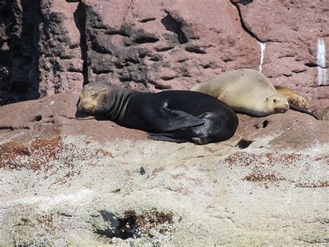 Family Adventure Week offers a spring break getaway for CSU families