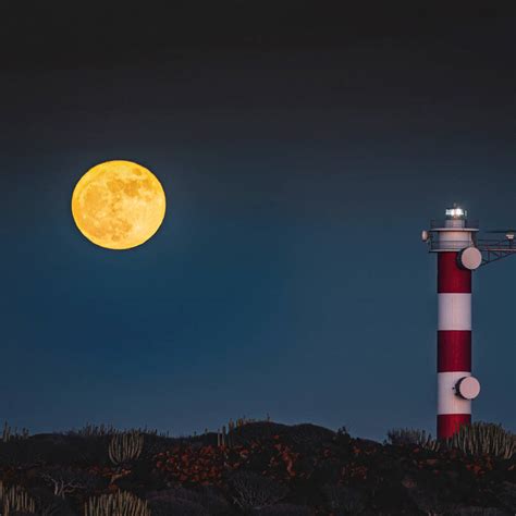 Luna hoy: calendario lunar del 11 al 17 de noviembre