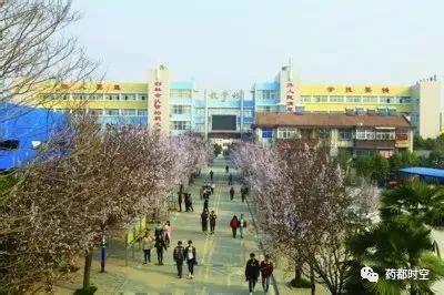 城建丨亳州又将新建、改建一批公办学校，你家变成学区房了吗？