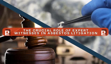 https://peerlessenvironmental.com/wp-content/uploads/2023/11/expert-witnesses-asbestos-litigation-role-1080x628.jpg