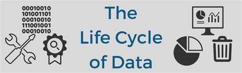 Data Life Cycle 的图像结果