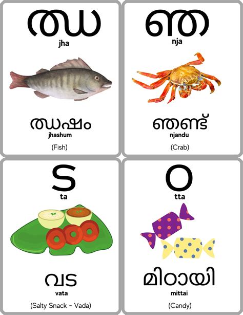 Malayalam Alphabet Flashcards, Malayalam Consonants, Learn Malayalam, Aksharangal Vyanjanam ...