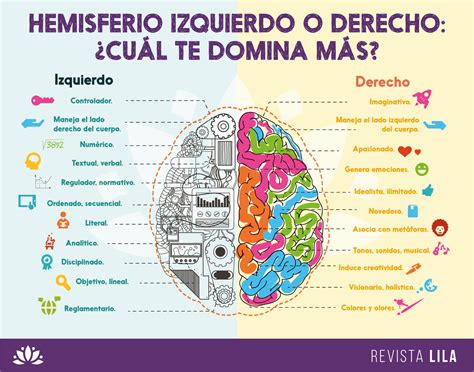 Blog de Psicología David Carranco: HEMISFERIO DERECHO E IZQUIERDO
