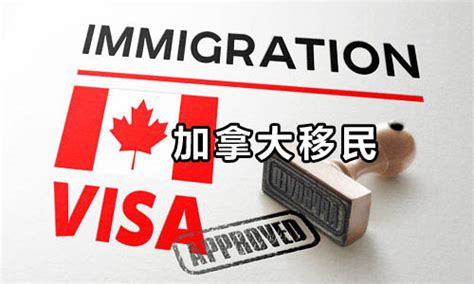 加拿大移民文件翻译_移民资料翻译报价_效率高_未名翻译公司