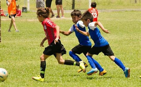 El futuro de la formación de categorías en el deporte