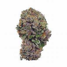 purple urkle strain purple urkle online dispensary canada buy weed bulkweedinbox purple urkle strain purple urkle online dispensary canada buy weed bulkweedinbox