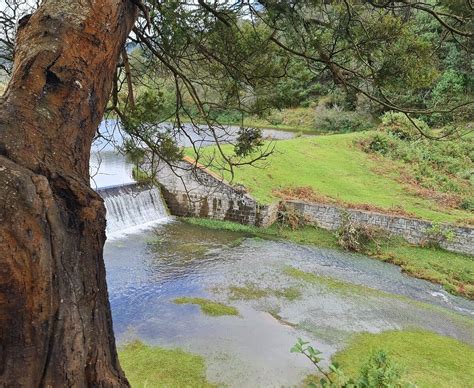 MANNAVANUR LAKE - All You Need to Know BEFORE You Go 2026 (with Photos ...