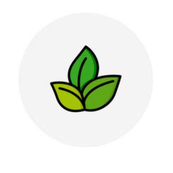 EcoLine Clothing : Garments made from recycled PET and organic cotton ...