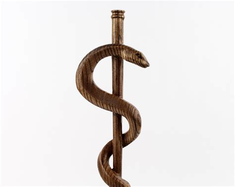 Staff Of Asclepius Tree