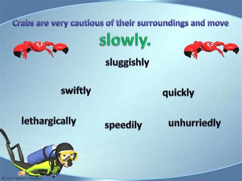 Diving Deep for Synonyms and Antonyms - online presentation
