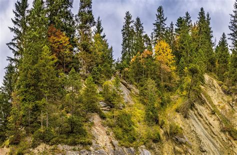 Pixabay Free High Resolution 的图像结果