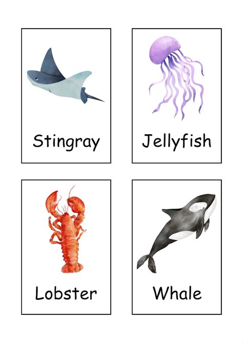 Terrifying Sea Creatures Flash Cards 的图像结果