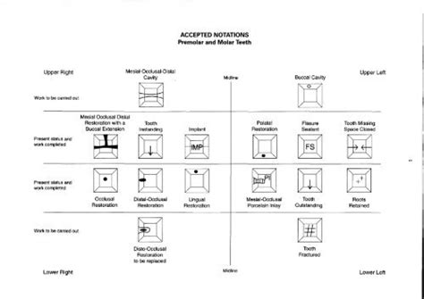 Image result for Avada Website Templates