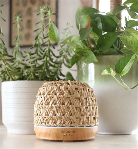 Image result for Using Vinegar to Clean Humidifier