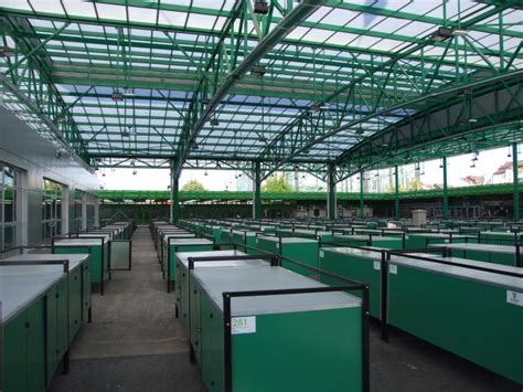 Brendiranje vozila i poslovnih prostora Pacarti studio