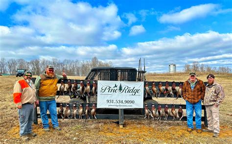 Pine Ridge Farm | Indian Mound TN