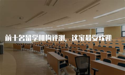 国外疫情冲击留学市场 郑州有人选择延期一年入学_手机新浪网