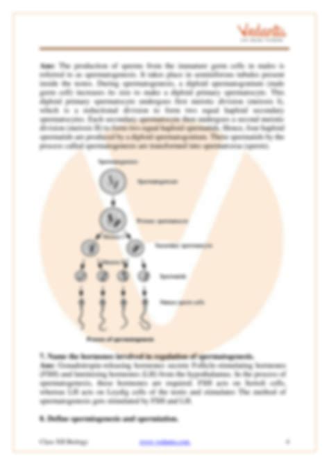 Image result for Bio Chap 20 Reproduction Class 12