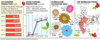 Twenty22-India on the move: Floriculture snippets