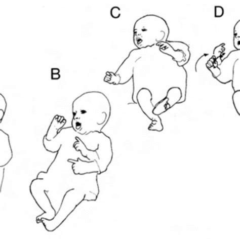 Image result for Constant Function Example