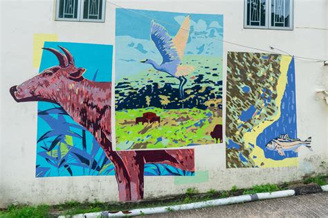 Local Community Projects 的图像结果