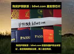 Image result for 护照