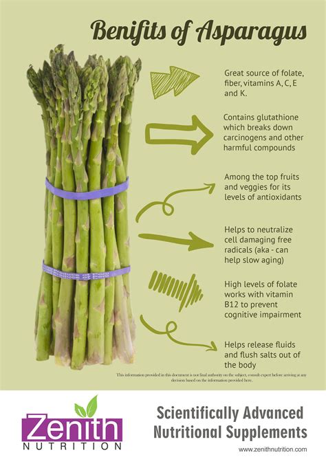 Asparagus Health Benefits EAT THIS BEAUTIFUL, NUTRITIOUS VEGETABLE FOR