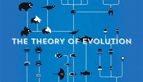 Evolution Theory Explained 的图像结果