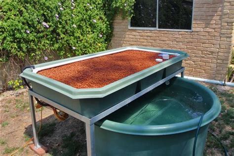 Backyard Aquaponics Systems for Sale | Visit my personal DIY Aquaponics ...