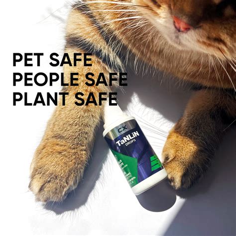 CX Tanlin Drops - Fungus Gnat Treatment and Prevention - 20ml - Makes ...