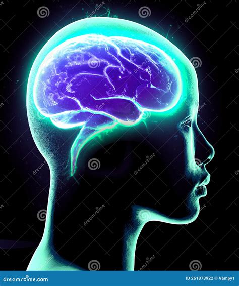 Development of Reason Image 的图像结果