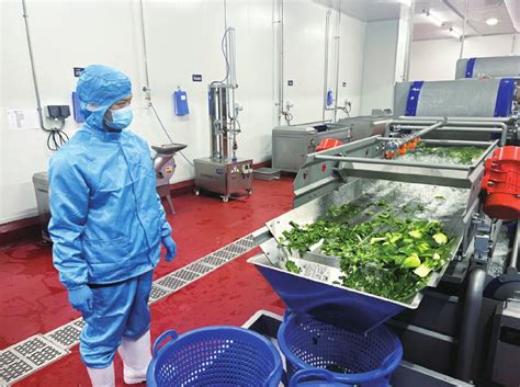 猪场洗消中心 干冰清洗机－广州菲格朗环保技术有限公司