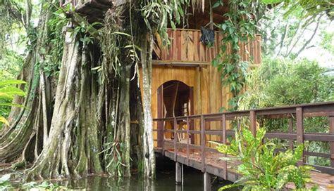 5 Best Tree House Resorts To Stay Around Costa Rica - lifeberrys.com
