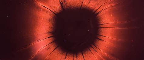 Download wallpaper 2560x1080 nucleus, atom, red, black dual wide 1080p ...