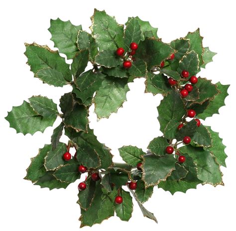 What Are Boughs of Holly? Your Complete Guide to Celebrating the Season ...