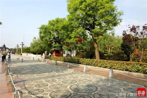 武汉市城区最老的树！已500多高龄的古银杏树 ！ - 旅游户外 - 得意生活-武汉生活消费社区