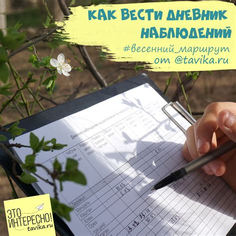 Как вести дневник наблюдений за природой - tavika.ru