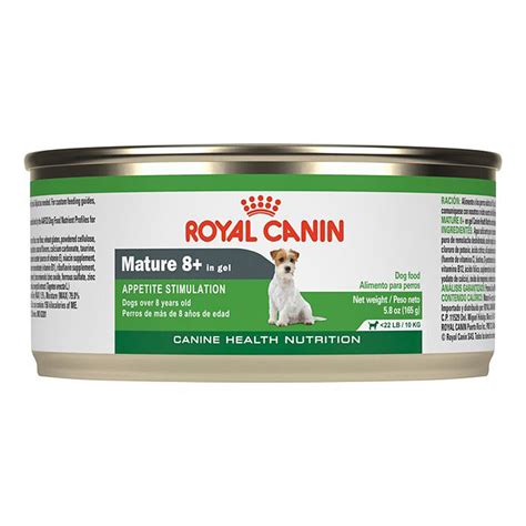 What Will Stimulate A Dogs Appetite