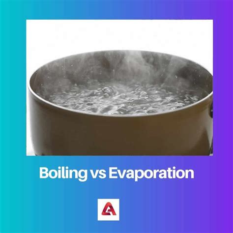 Boiling vs Evaporation: Difference and Comparison