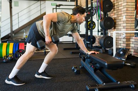 One Arm Dumbbell Row Muscles Worked