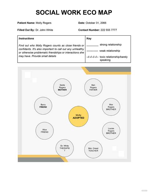 Ecomap - What Is an Ecomap? Definition, Types, Uses