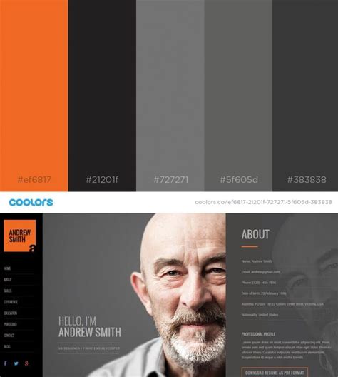 Image result for Beautiful Color Schemes