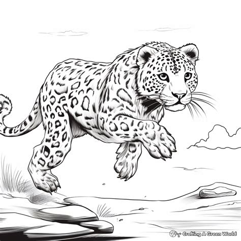 Snow Leopard Coloring Pages - Free & Printable!