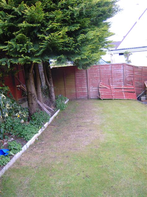 Grass For Shade: Growing a Good Lawn in Shady Areas | Lawns For You