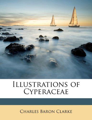 Illustrations of Cyperaceae : Amazon.in: Books
