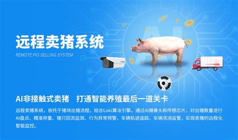 远程卖猪,AI非接触式卖猪 ，打通智能养殖最后一道关卡-企联网应用市场